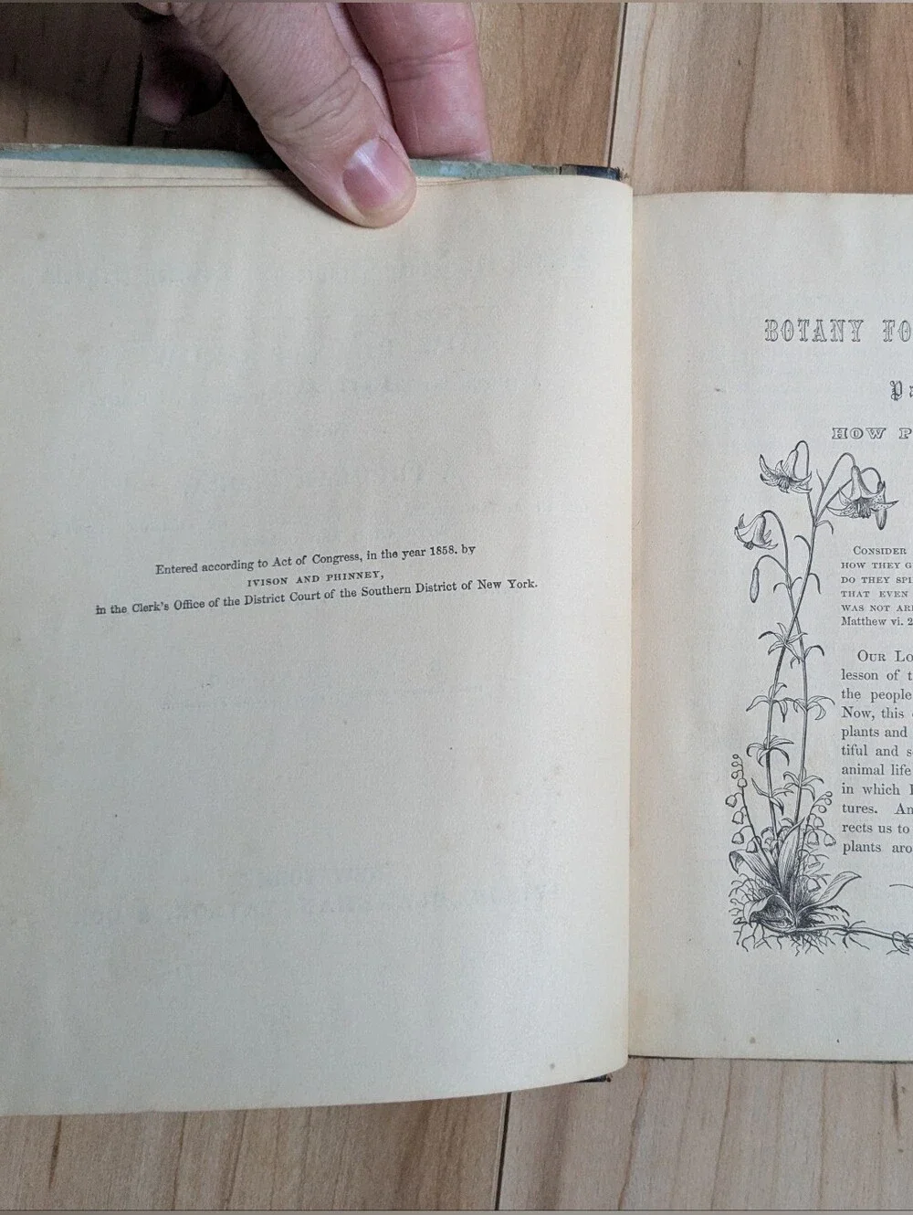 1875 HOW PLANTS GROW Botany For Young People & Common Schools Asa Gray 1st Ed.